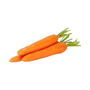 CARROT