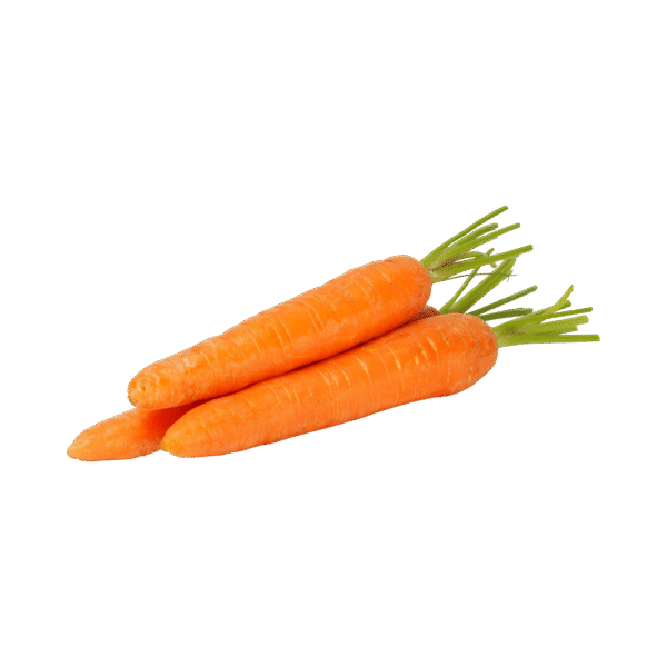 3.png CARROT