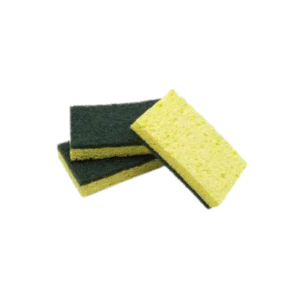 Sponge Scrub