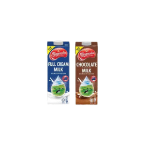 F&N Magnolia Ice Cream 1L