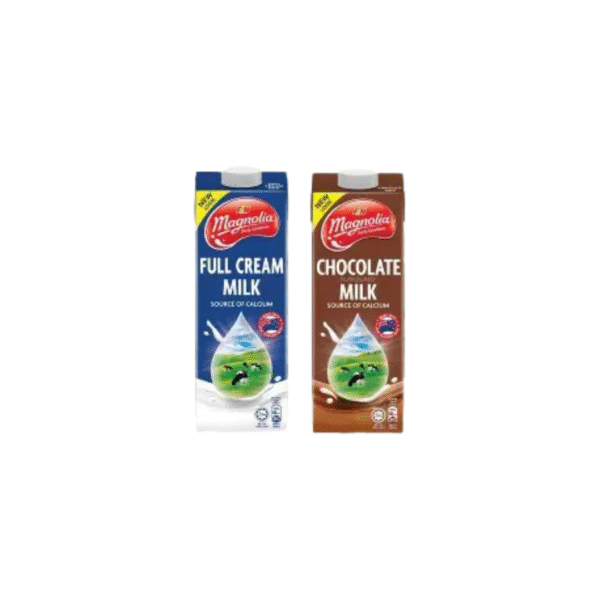 F&N Magnolia Ice Cream 1L