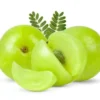 AMLA (India)
