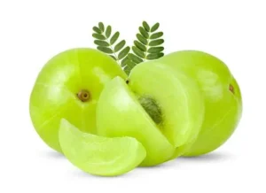 AMLA (India)