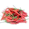 CHILLI PADI