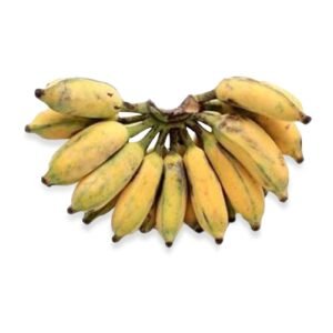 KARPORAVALLI (India) KARPORAVALLI (India)