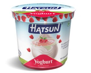 HATSUN YOGHURT 200GM
