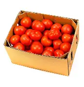 TOMATO BOX