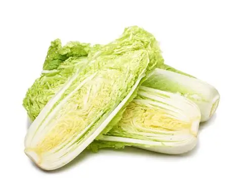 beijing cabbage BEIJING CABBAGE