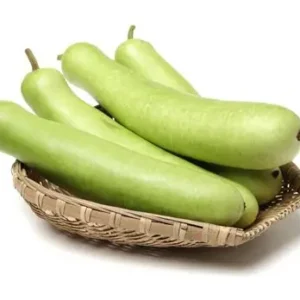 BOTTLE GOURD