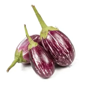 BRINJAL (India)
