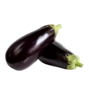 brinjal big BRINJAL BIG