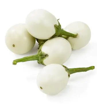BRINJAL WHITE