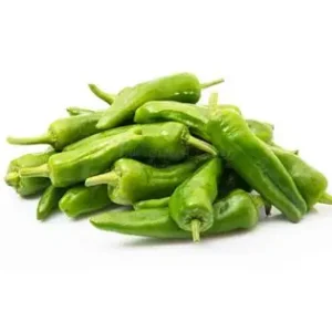 BULLET CHILLI (India)