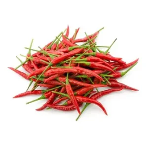 chilli padi CHILLI PADI (India)