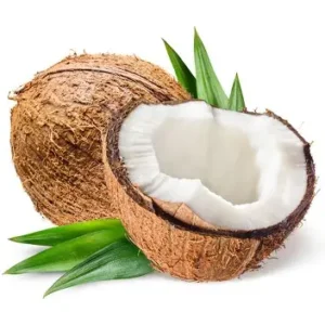 COCONUT (India)