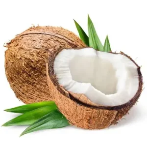 COCONUT (India)
