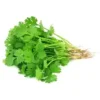 CORDIANDER LEAF
