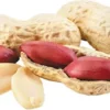 GROUND NUT (India)