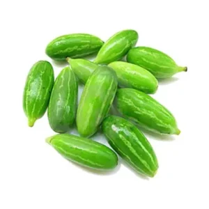 kovakai KOVAIKAI (India)