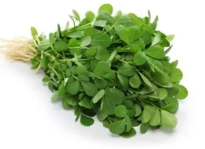 METHI (India)