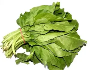 PALAK (India)