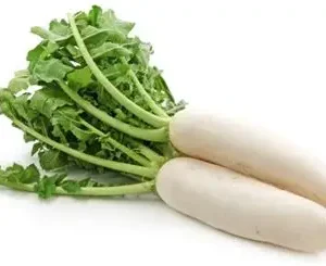RADISH