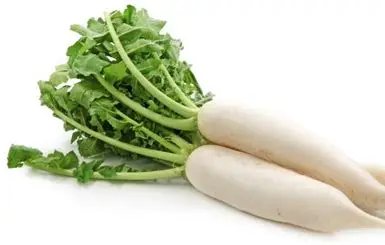 RADISH