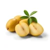SAPOTA