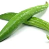 SNAKE GOURD