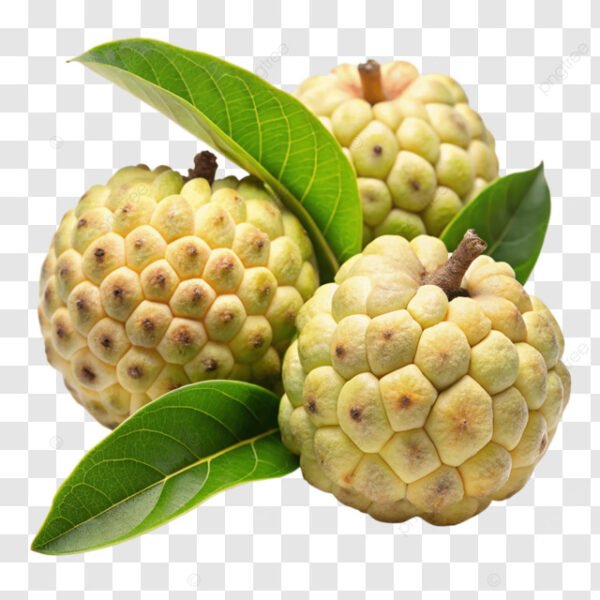 custard apple in CUSTARD APPLE